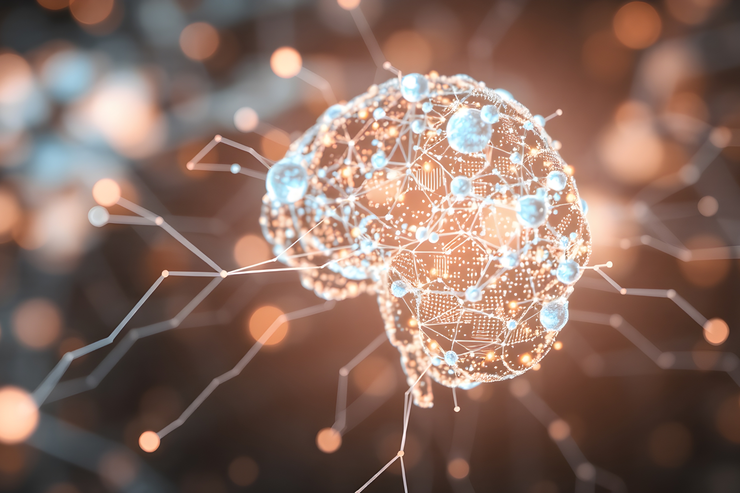 SEO business in Mississauga